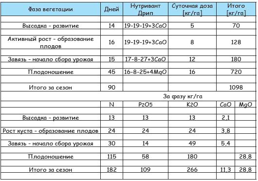 Таблица подкормки огурцов в теплице. Таблица урожайности огурцов. Урожайность огурцов с 1 м2. Урожайность огурцов в теплице с 1 квадратного метра. Таблица питания огурцов.