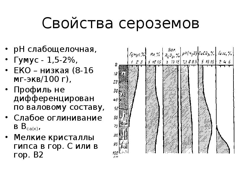 Субтропический климат почва. Сероземы сухих субтропиков. Сероземы профиль. Почва сухих субтропиков. Сероземы почвы содержание гумуса.