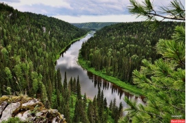 Купить Тайгу В Пермском Крае